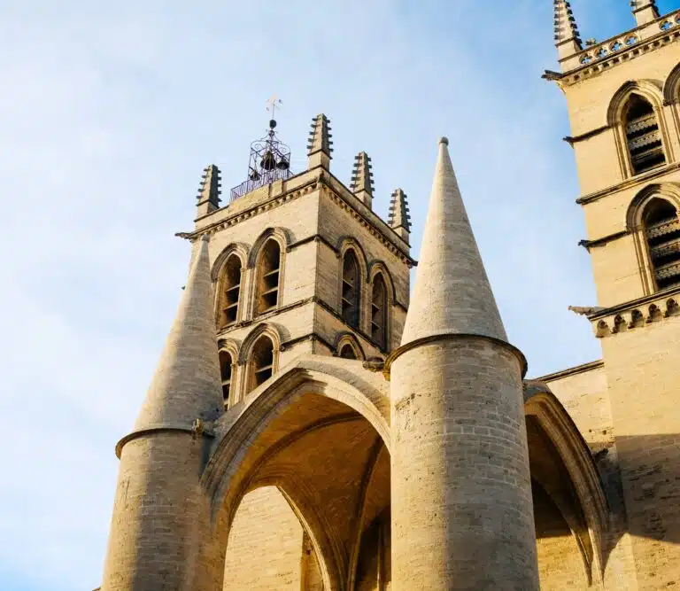Montpellier, entre historia y Mediterráneo: un itinerario inolvidable para los miembros de AB2PROTEAM